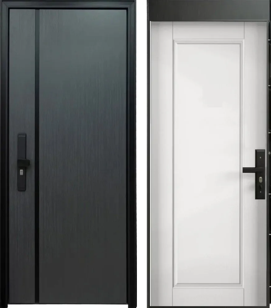 Дверь Цербер 101 DIS007201